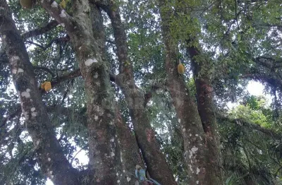 Casa com 8 quartos à venda na Rua Guaporé, 628, Jardim Guaraituba, Paranaguá