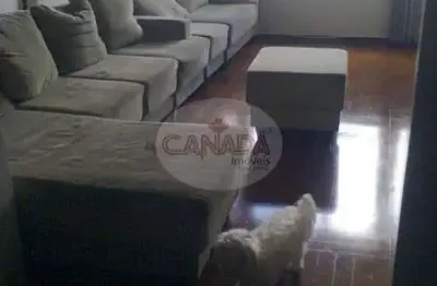 Apartamento com 3 quartos à venda no Centro, Ribeirão Preto 