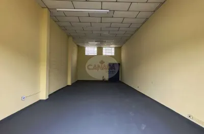 Salao - ribeirao preto - jardim palma travassos - região zona leste