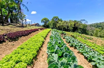 Chácara / sítio com 3 quartos à venda no centro, juquitiba  por r$ 450.000