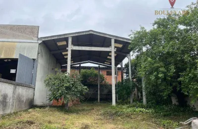 Barracão à venda, 180 m² por r$ 550.000,00 - costeira - são josé dos pinhais/pr