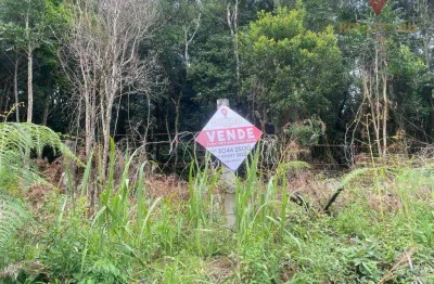 Terreno à venda, 30855 m² por r$ 999.090,00 - contenda - são josé dos pinhais/pr