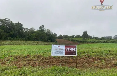Chácara à venda, 54000 m² por r$ 419.000,00 - zona rural - tijucas do sul/pr