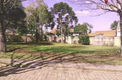 Terreno à venda, 868 m² por r$ 2.750.000,00 - uberaba - curitiba/pr