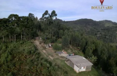 Chácara com 2 dormitórios à venda, 48400 m² por r$ 650.000 - cerro negro - campo magro/pr