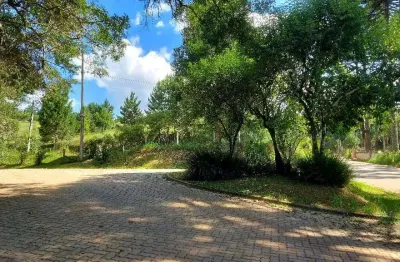 Campo largo, ferraria, chácara 51.425m², na rotatória ecoumbrella, acesso asfalto, esquina com rua
