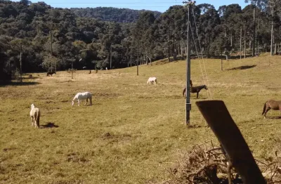 Tijucas do sul, fazenda 160 alqueires, 367,10 há, haras ou loteamento, casa sede 500m² venda, zona