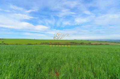 Chácara / sítio com 4 quartos à venda na Rodovia BR-376, Colônia Dona LuÍza, Ponta Grossa