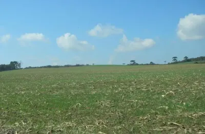 Lapa/ balsa nova, sede centenária, 45 alqueires ,110,31 hectares , planta 16 alqueires, à venda, ma