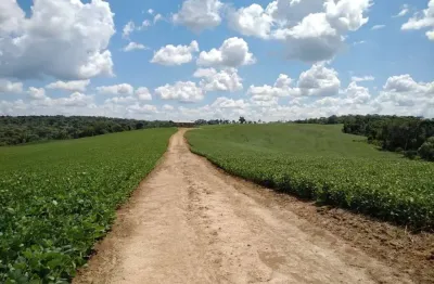 Lapa, fazenda 42 alqueires ou 101,64 hectares, um talhão, plantando 30 alqueires, à venda, zona rur