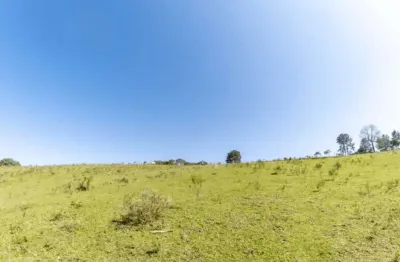 Campo largo, alphaville, área 74.721m², própria pra loteamento, com estudo, à 12 km do parque barig