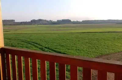 São mateus do sul/ pr/ canoinhas/sc, fazenda 218 alqueires, 528, 56 há , plantando 400 hectares, à
