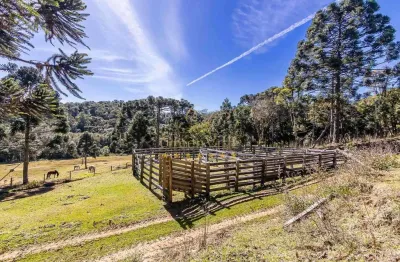 Tijucas do sul, fazenda 160 alqueires, 367,10 há, haras ou loteamento, casa sede 500m² venda, zona