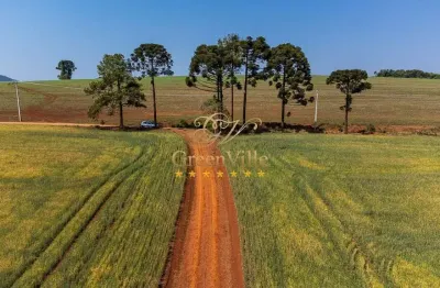 Tibagi, surpreendente plantando 100 hectares, quase 100%, poço artesiano, cachoeira, à venda, zona