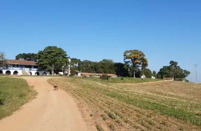 Lapa/ balsa nova, sede centenária, 45 alqueires ,110,31 hectares , planta 16 alqueires, à venda, ma