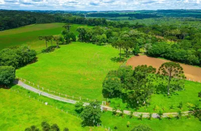 Lapa, fazendinha ou haras, 8 alqueires ou 19,36 hectares, casa sede, piscina, mina, à venda, água a