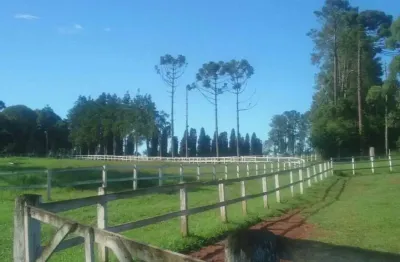 São josé dos pinhais,haras cinematográfico, 20 baias, 171.520m², 4 qtos, 2 suítes, à venda, pr