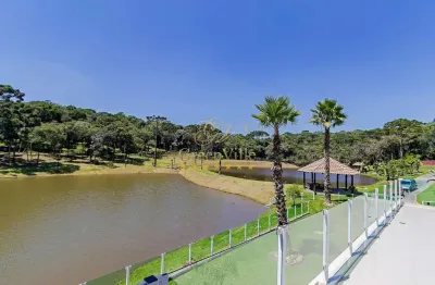 São josé dos pinhais, haras cinematográfica, 90.000m², 5 suítes, lago, tanque de peixes, poço artes