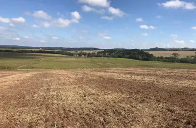 Lapa, chácara  7 hectares plana, cultivo, à 3km centro da cidade, à venda, área rural, pr