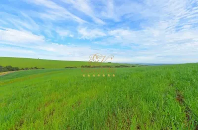 Canoinhas/sc, são mateus do sul/ pr/ fazenda 528, 56 há , 218 alqueires, plantando 400 hectares, à