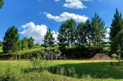 Campo largo, ferraria, chácara 51.425m², na rotatória ecoumbrella, acesso asfalto, esquina com rua