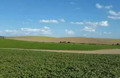 Lapa, fazenda 471,90 hectares,195 alqueires ou 4.719.000m²,plantando 100 alqueires, à venda, paraná