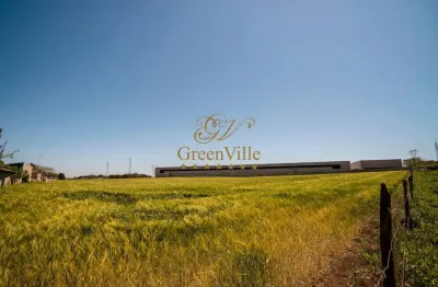 Campo largo, terreno city center shopping, para 400 unidades, plano s, limpo, em árvores, 51.495m²