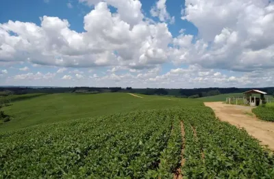 Lapa, fazenda 42 alqueires ou 101,64 hectares, um talhão, plantando 30 alqueires, à venda, zona rur