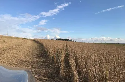 Porto amazonas, fazenda 389 hectares, 161 alqueires, plantando 92 alqueires de soja, sede completa,