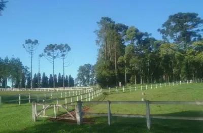 São josé dos pinhais,haras cinematográfico, 20 baias, 171.520m², 4 qtos, 2 suítes, à venda, pr