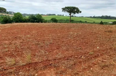 Araucária, 300m do asfalto, 5 alqueires, 12,35 hectares, barracão, própria pra plantio, arrendada,