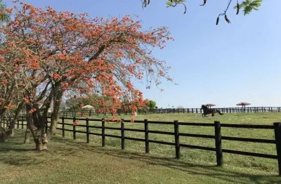 Lapa, 433,18 hectares, porteira fechada, à 90 km de curitiba, plantando 80 alqueires de soja, dupla