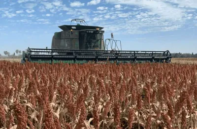 Mato grosso/ bonito/ guia lopes, fazenda 2633 hectares, plantando 2.100 hectares, de frente pra o a