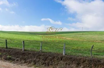 Lapa, 157,30 hectares ou 65 alqueires, plantando 45 alqueires, dupla aptidão, à venda, pr