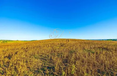 Balsa Nova, 89 há, ou 36,77 alqueires, Plantando 23 alqueires, Próximo Estrada Balsa Nova, Zona Rur