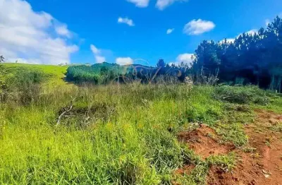 Campo Largo/ Três Córregos, 383 alqueires ou 926,93 hectares, sendo 240 alqueires pra reflorestamen
