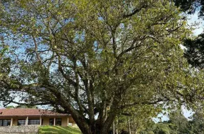 Piraquara, Haras 179.834,60m² , 17,98há ou 7,43 alqueires, casa sede 477m, à venda, Paraná