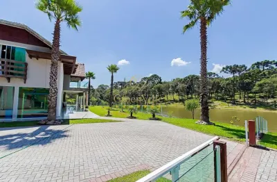 São José dos Pinhais, Haras cinematográfica, 54.000m², 5 suítes, lago, tanque de peixes, poço artes