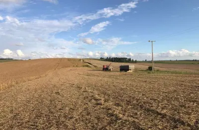 Porto Amazonas, Fazenda 389 Hectares, 161 Alqueires, plantando 92 Alqueires de soja, sede completa,