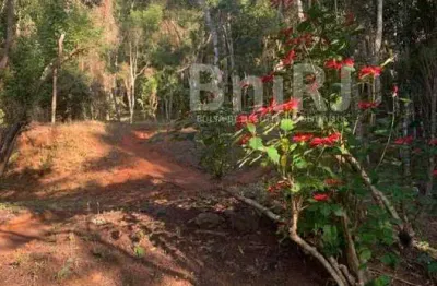 Araras, Petrópolis RJ. 11 lotes no Vale das Videiras. Rodeada por exuberante natureza, ideal para ecoturismo, com variedade de trilhas, cachoeiras, rios e montanhas.