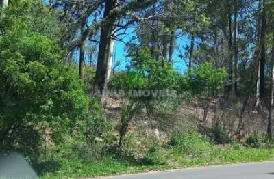 Terreno à venda na estrada jorge pereira nunes, 1769, campo novo, porto alegre por r$ 250.000