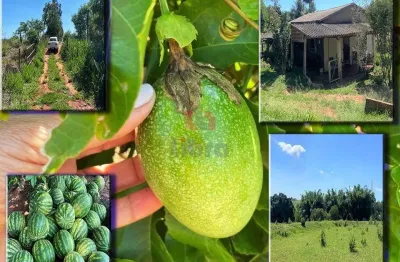 Chácara / sítio à venda na Br376a, Zona Rural, Alto Paraná