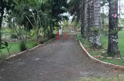 Chácara à venda  no distrito de são domingos
próximo ao porco no tacho