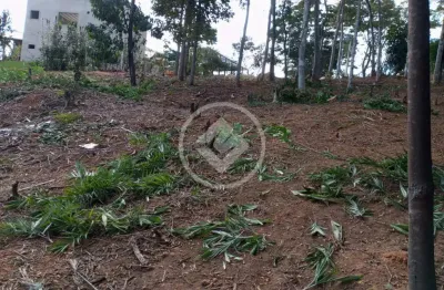 Terreno em condomínio fechado à venda no Cantos da mata, Iapu 