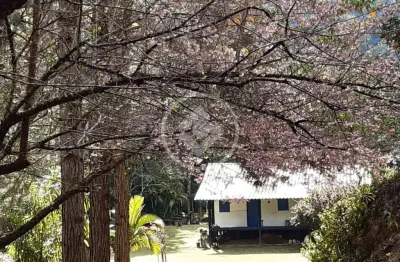 Vende-se sítio em são bento de urânia, alfredo chaves - es** codigo: 69317