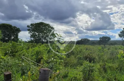 Área de 3.500 hectares em ribas do rio pardo codigo: 109099
