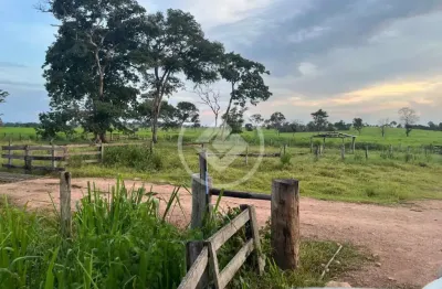 Propriedade rural - fazenda formada dupla aptidão - alcinópolis/ms codigo: 119020
