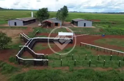 Haras completo com ótima localização e estrutura. codigo: 108926