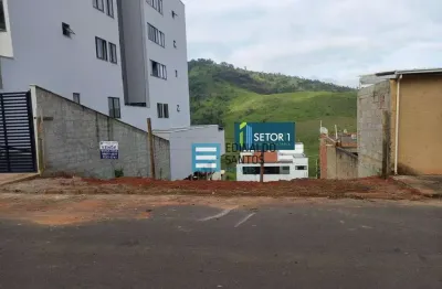 Terreno à venda, 300 m² por r$ 109.900,00 - jardim dos alfineiros - juiz de fora/mg