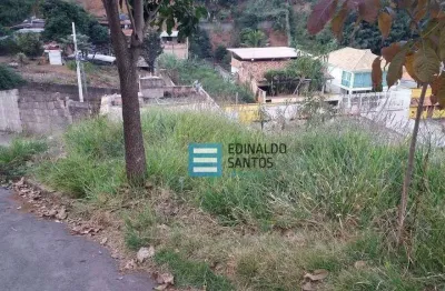 Terreno residencial à venda, nova benfica, juiz de fora - te0100.